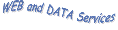 Web and Data Services Logo